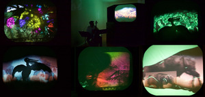 THE EUPHORIA OF WALT WHITMAN @ SHAPESHIFTER'S CINEMA